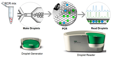 1622710931038029359.png 1.png