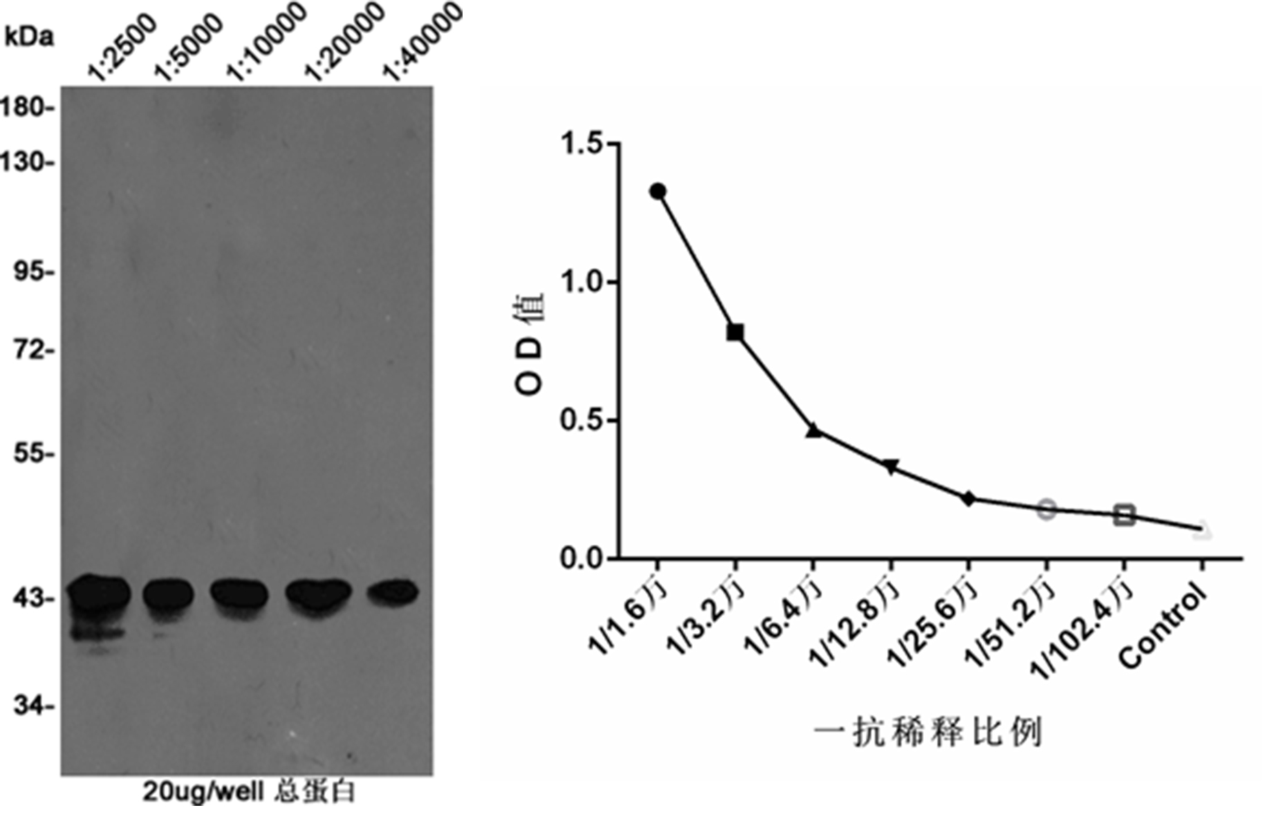 1622710949032081225.jpg 1622710949032081225.jpg